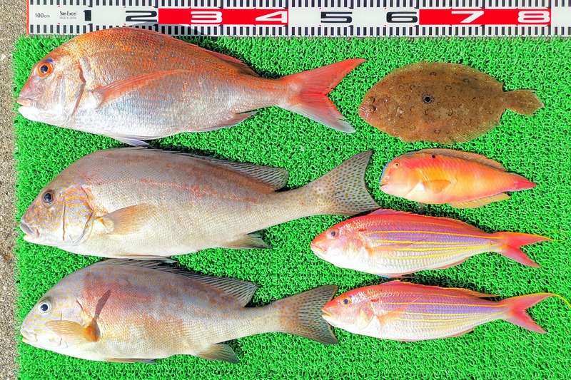 IMG_20211123_123133_edit_1245604728066184