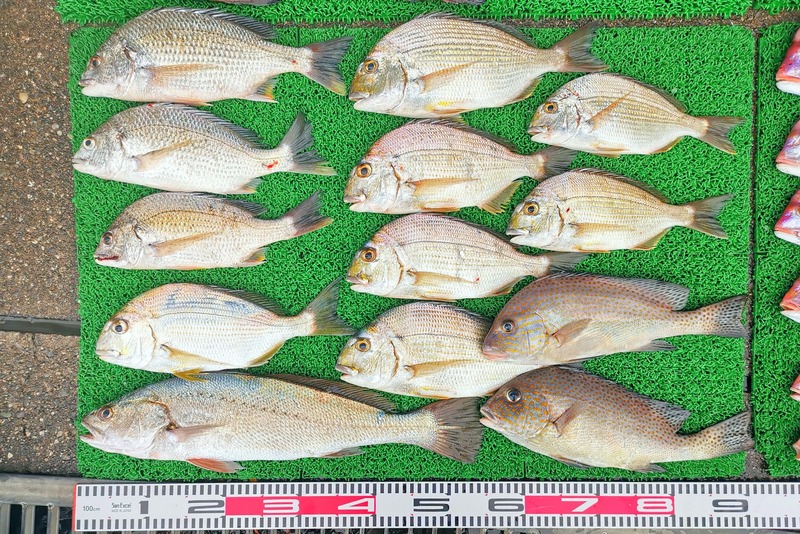 IMG_20251112_155635_edit_2414959606109623