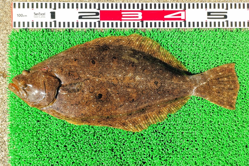 IMG_20260124_134541_edit_82353817504620