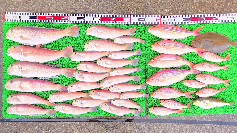 IMG_20241230_163809_edit_602987963662151