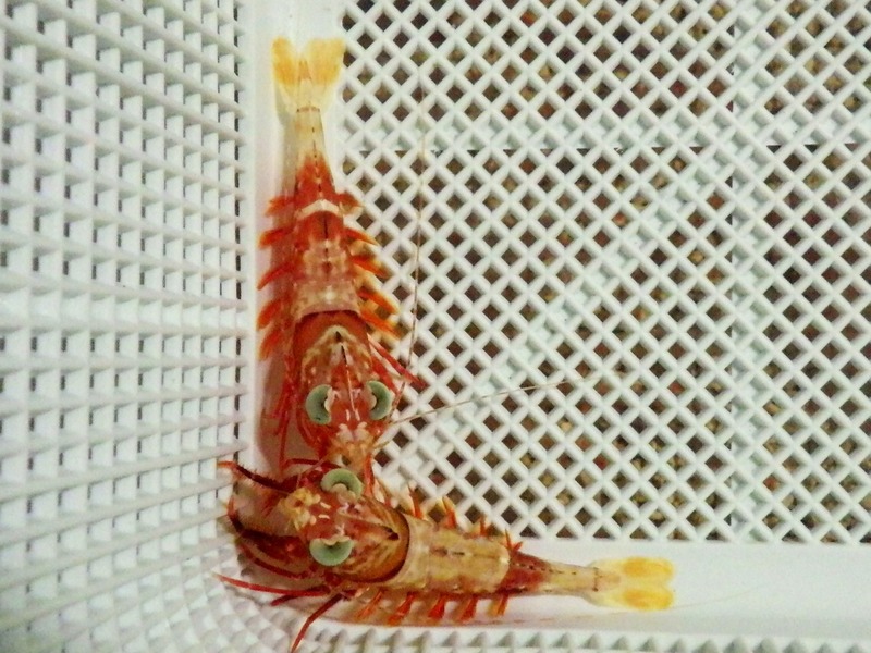IMGP4823