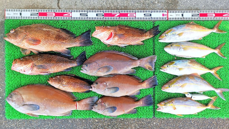 IMG_20251028_133208_edit_2099919698382174