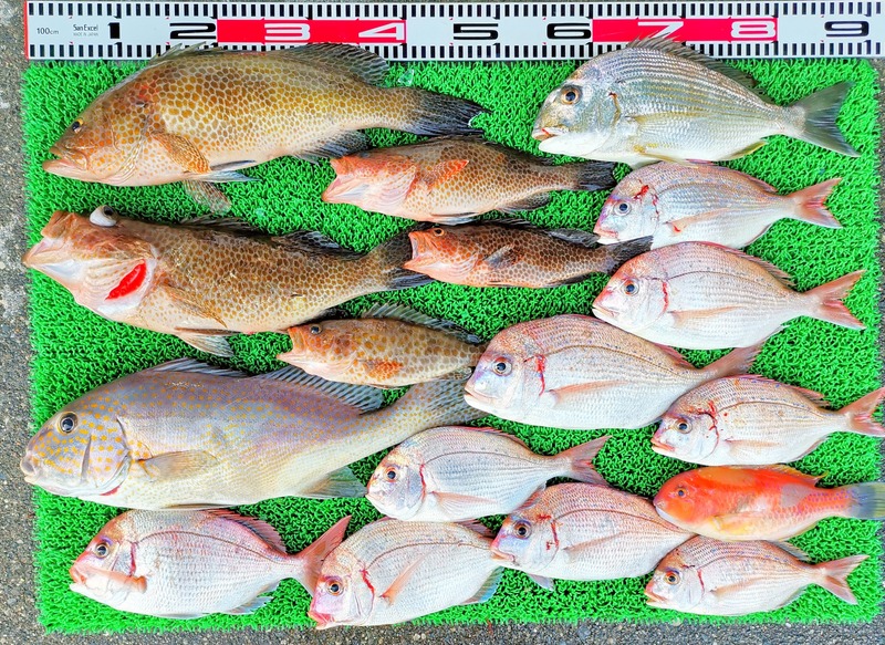 IMG_20251108_161511_edit_2343589938326763