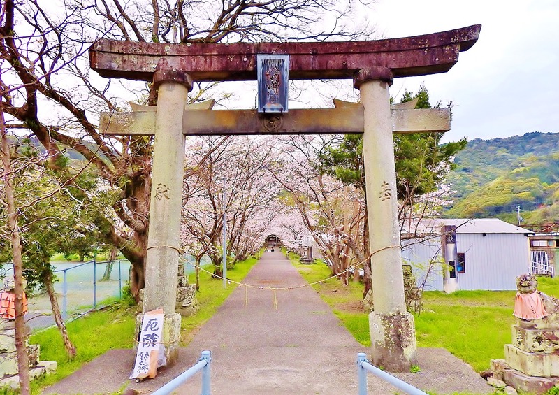 DSCN2237