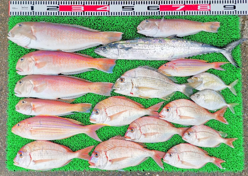 IMG_20251117_144625_edit_2521683051348546