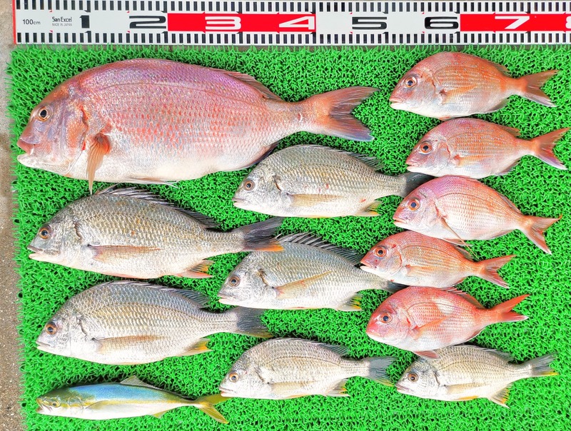 IMG_20220718_121530_edit_740050945820409