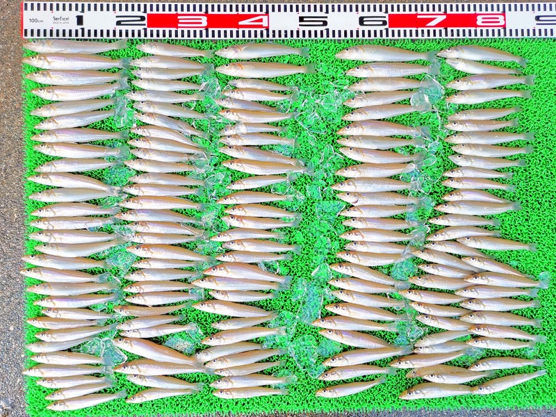 IMG_20250730_143849_edit_2714164164167