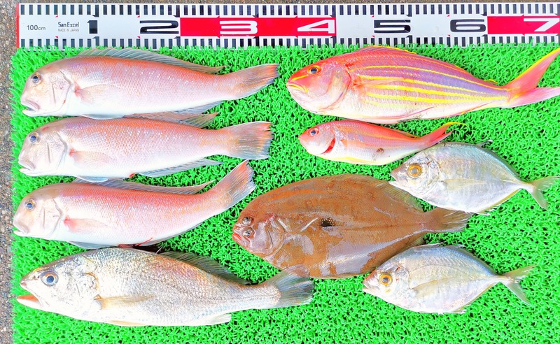 IMG_20240401_152326_edit_61300944425541