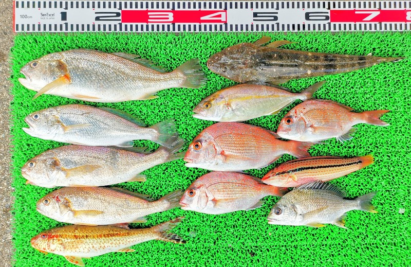 IMG_20220709_145702_edit_506650006211752