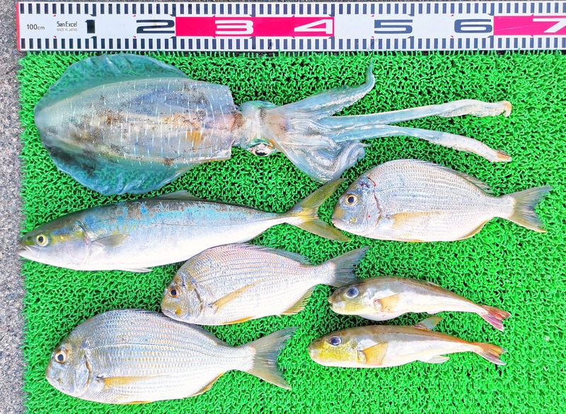 IMG_20251026_161033_edit_2070545793508531