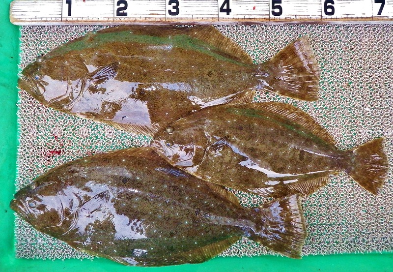 IMGP2989
