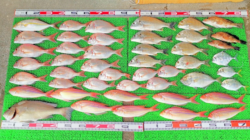 IMG_20231026_145900_edit_804169852042389