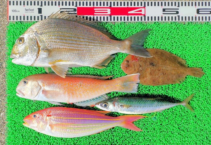 IMG_20260126_135110_edit_128772762085036