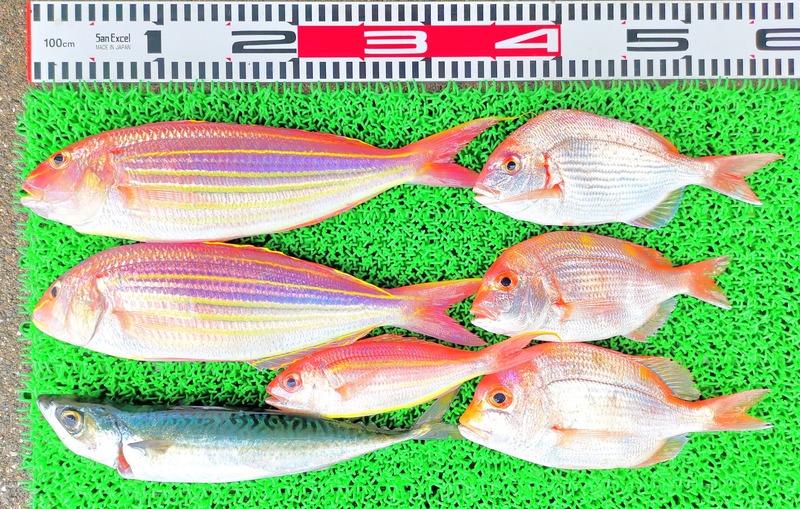 IMG_20220710_140617_edit_543142289266080