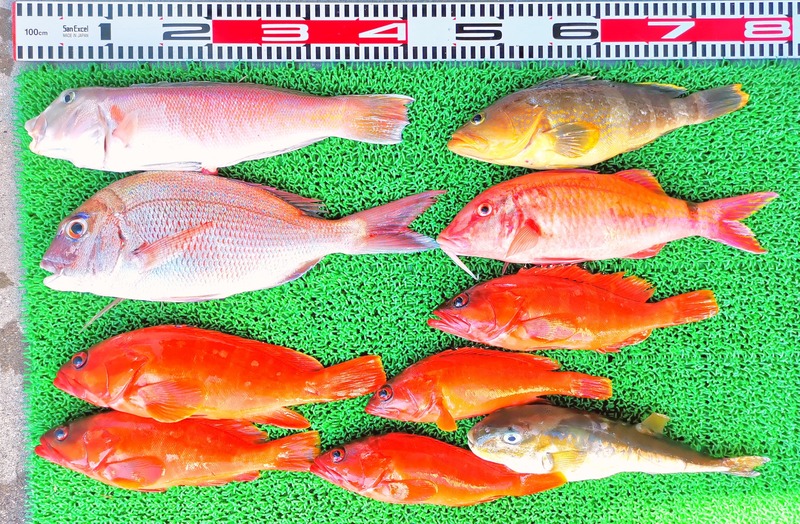 IMG_20251013_134434_edit_1787183472846039