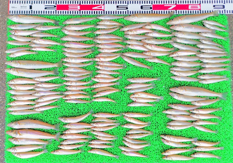 IMG_20250614_122551_edit_3637823880786564