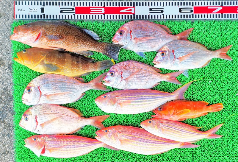 IMG_20251123_153337_edit_2652403994265578