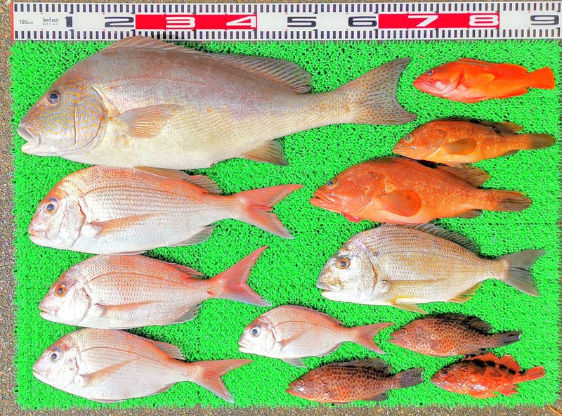 IMG_20251026_125519_edit_2070038117037254