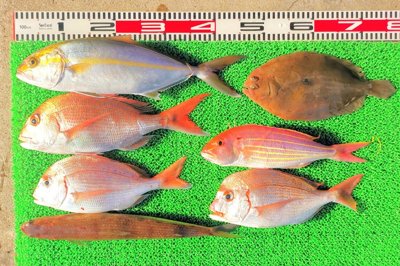 IMG_20211114_151745_edit_1060230942739782