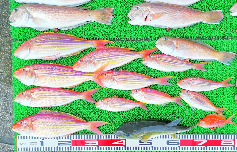 IMG_20220724_152605_edit_907859516073970