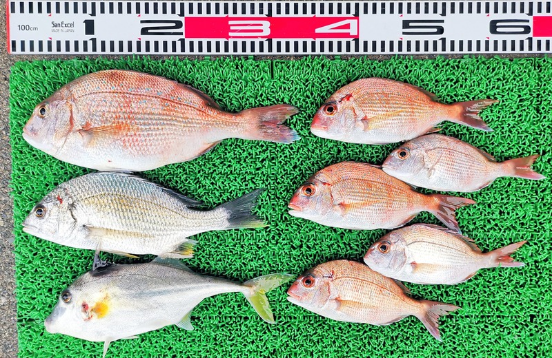 IMG_20251113_160219_edit_2433701492270304