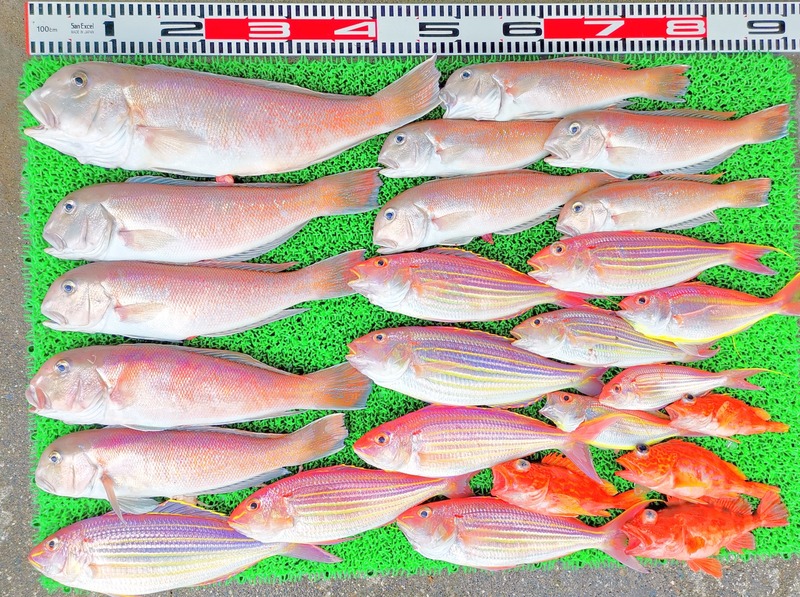 IMG_20220725_125651_edit_920949143263639