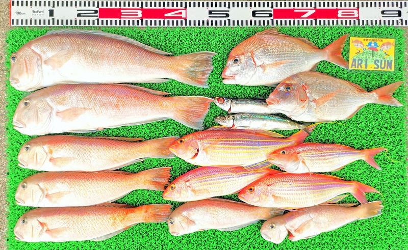 IMG_20220702_125632_edit_349833370861723