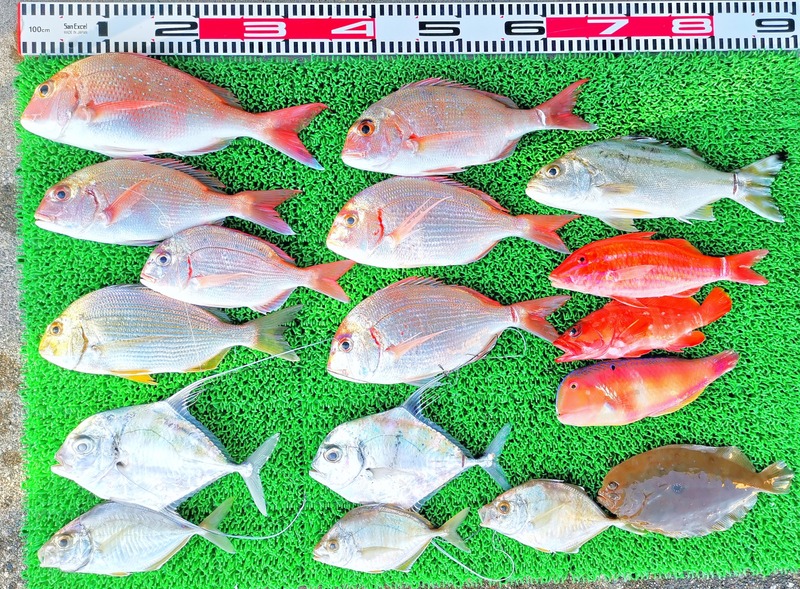 IMG_20251028_151023_edit_2100451279702926