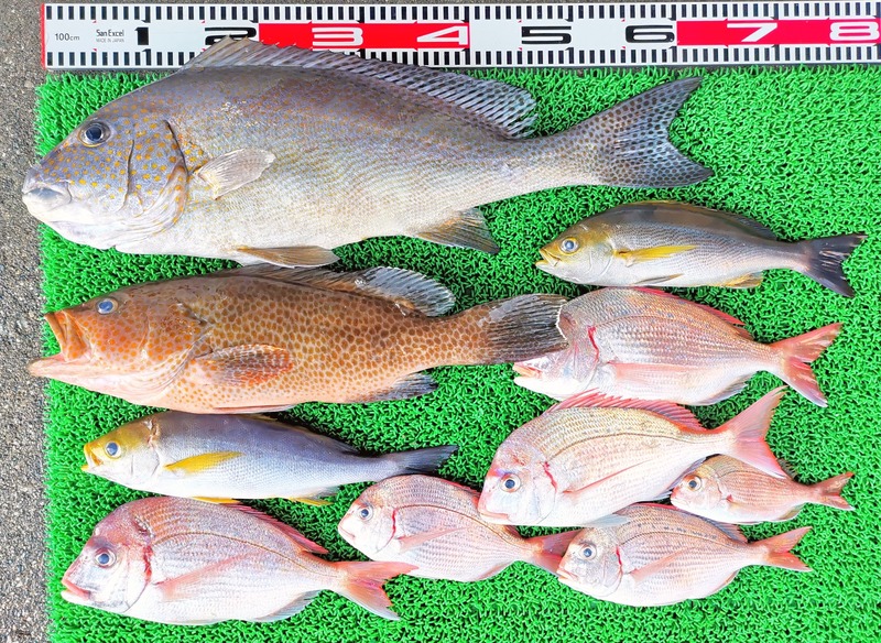 IMG_20251129_154110_edit_2783911638173637