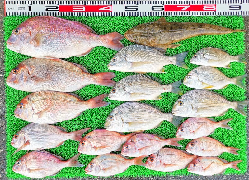 IMG_20240802_155439_edit_946913205544572