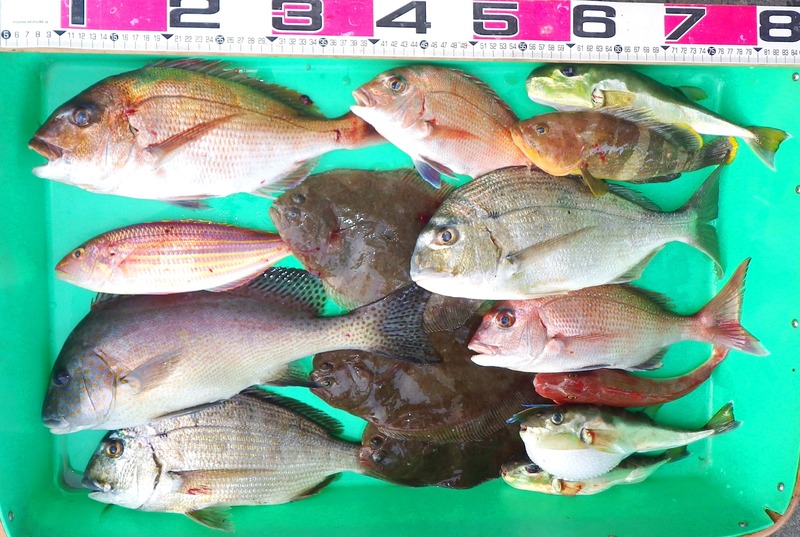 IMGP5589