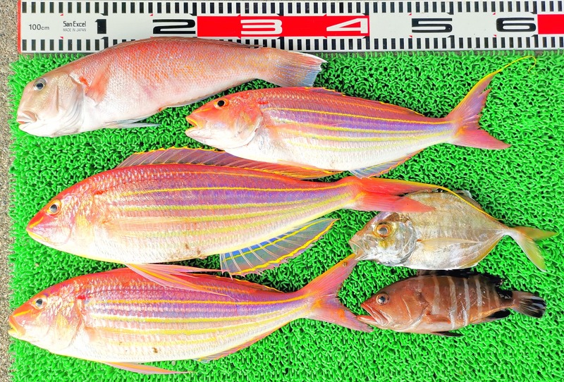 IMG_20250124_155848_edit_299259867919960