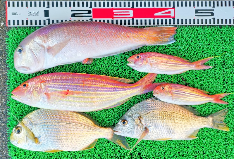 IMG_20251028_140251_edit_2100385831519082