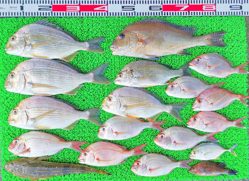 IMG_20230929_160507_edit_572388489745988