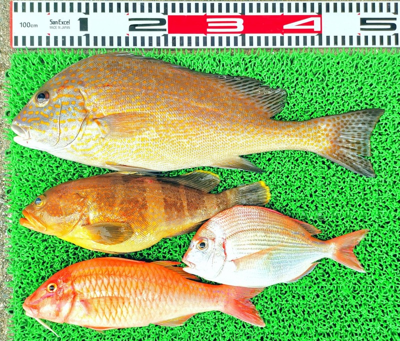 IMG_20220713_152620_edit_618503864216039