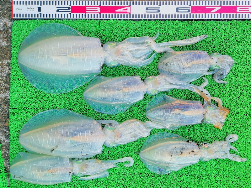 IMG_20251115_153934_edit_2482003357530121