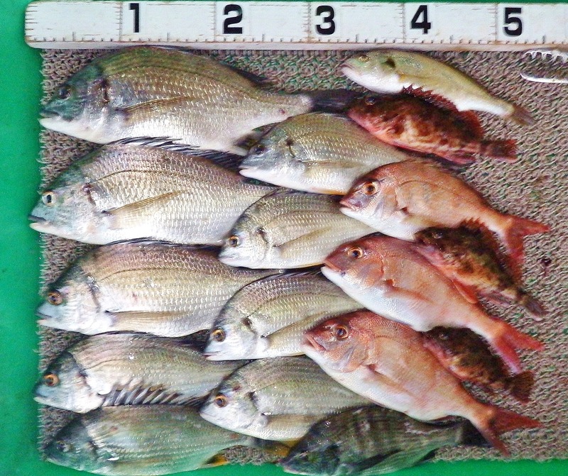 IMGP9478