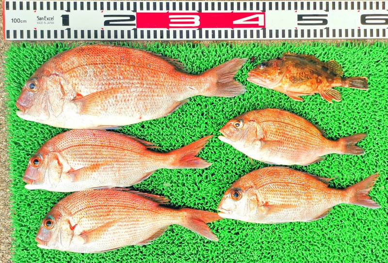 IMG_20260128_143957_edit_171789712399827