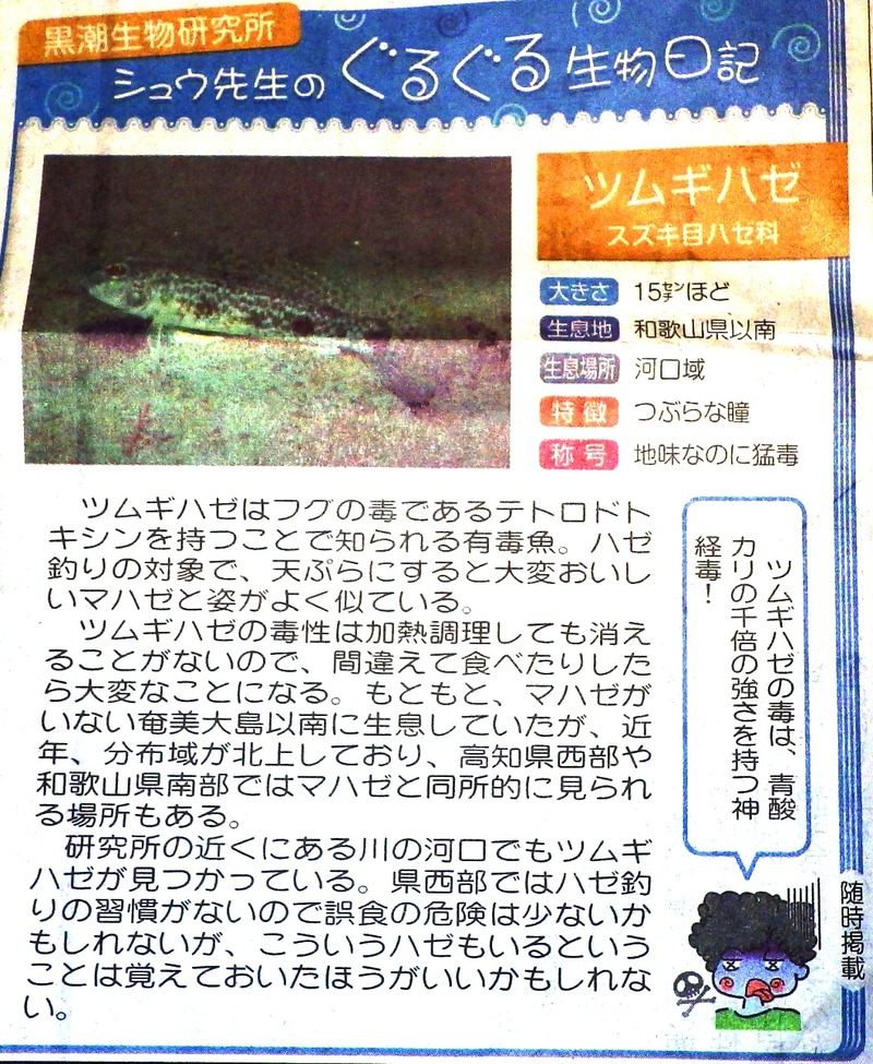 IMGP4874