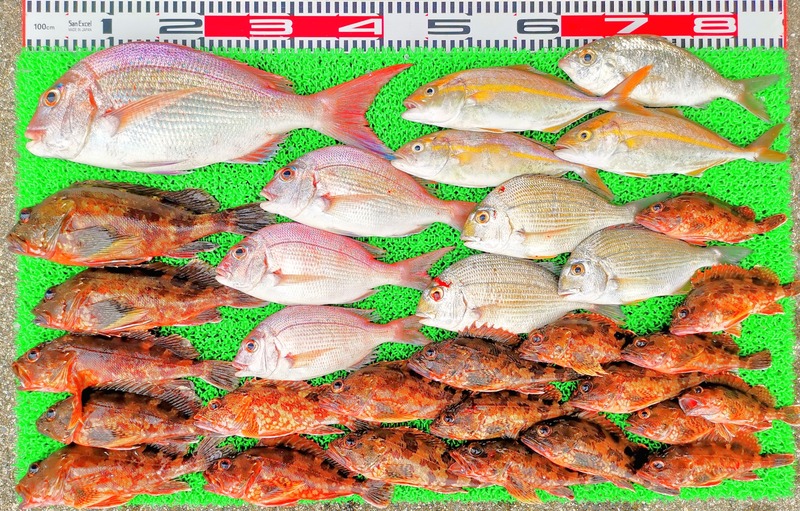 IMG_20220707_133720_edit_477231216523533