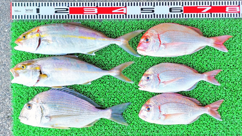 IMG_20211005_152117_edit_395643734409940