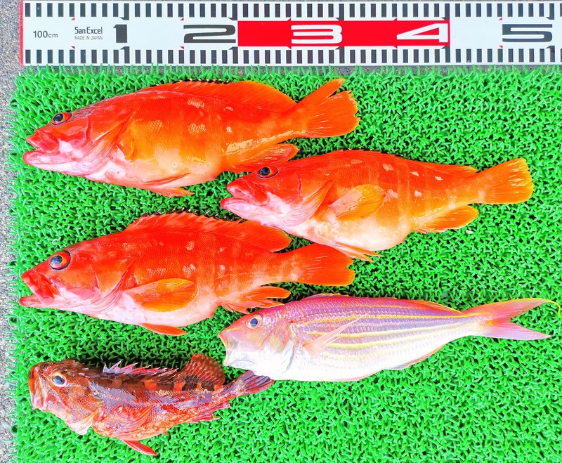 IMG_20220723_132020_edit_872862290256914