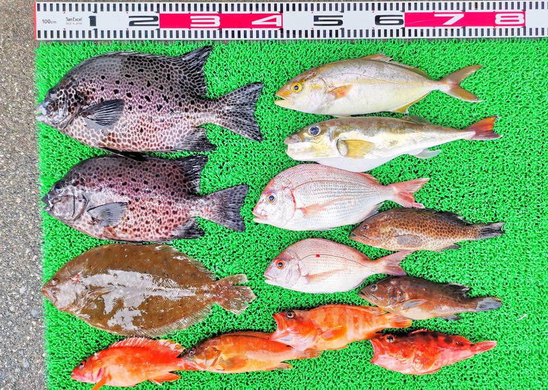 IMG_20251004_133511_edit_1578491415391425