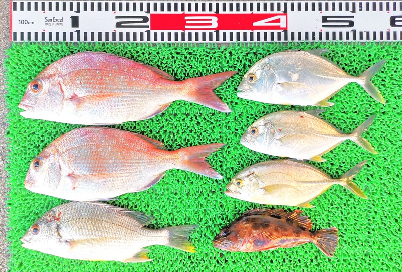 IMG_20251010_141905_edit_1727524102778580