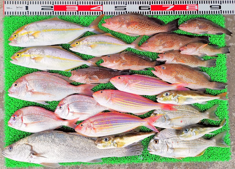 IMG_20241024_160604_edit_19743696044382