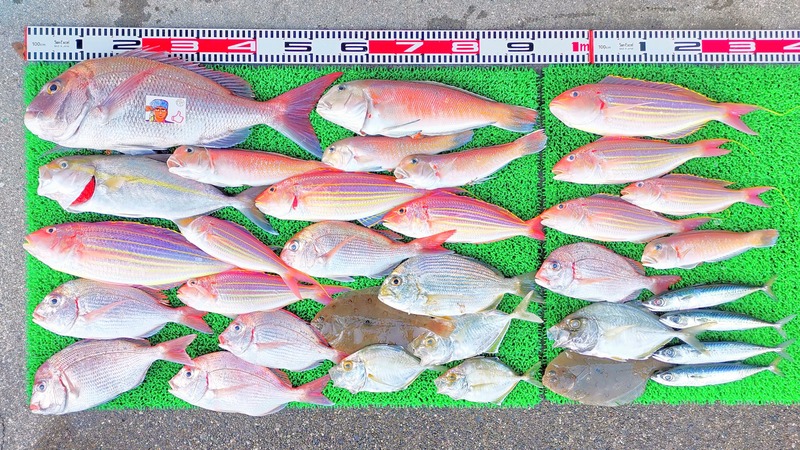 IMG_20251129_155609_edit_2783998377702269