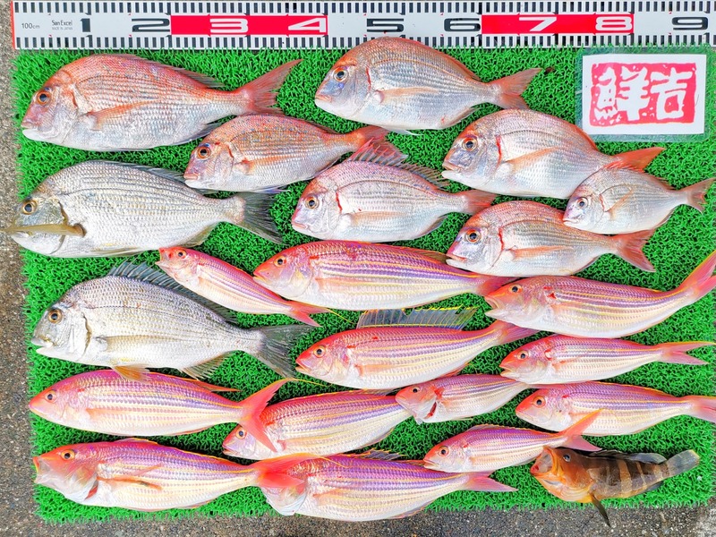 IMG_20211107_151204_edit_963527165646204