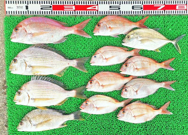 IMG_20251026_144709_edit_2070339792118979