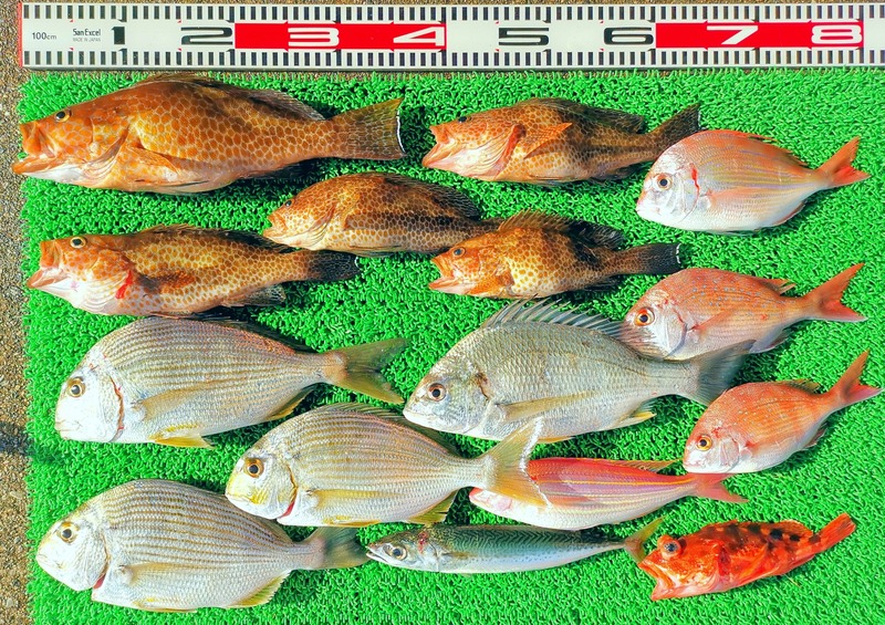 IMG_20251101_144319_edit_2197986750731793