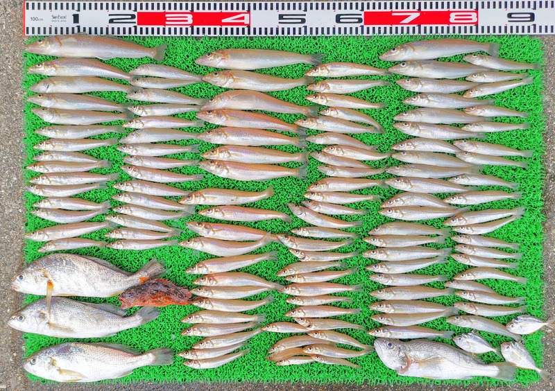 IMG_20220717_145916_edit_706246500894317